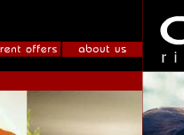 Amici website